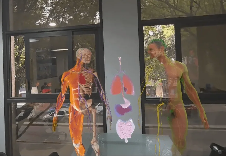 Human body
